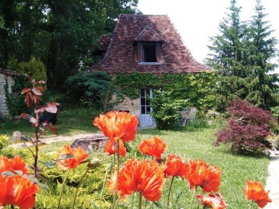 Petite Maison En Perigord Noir Plazac Екстер'єр фото